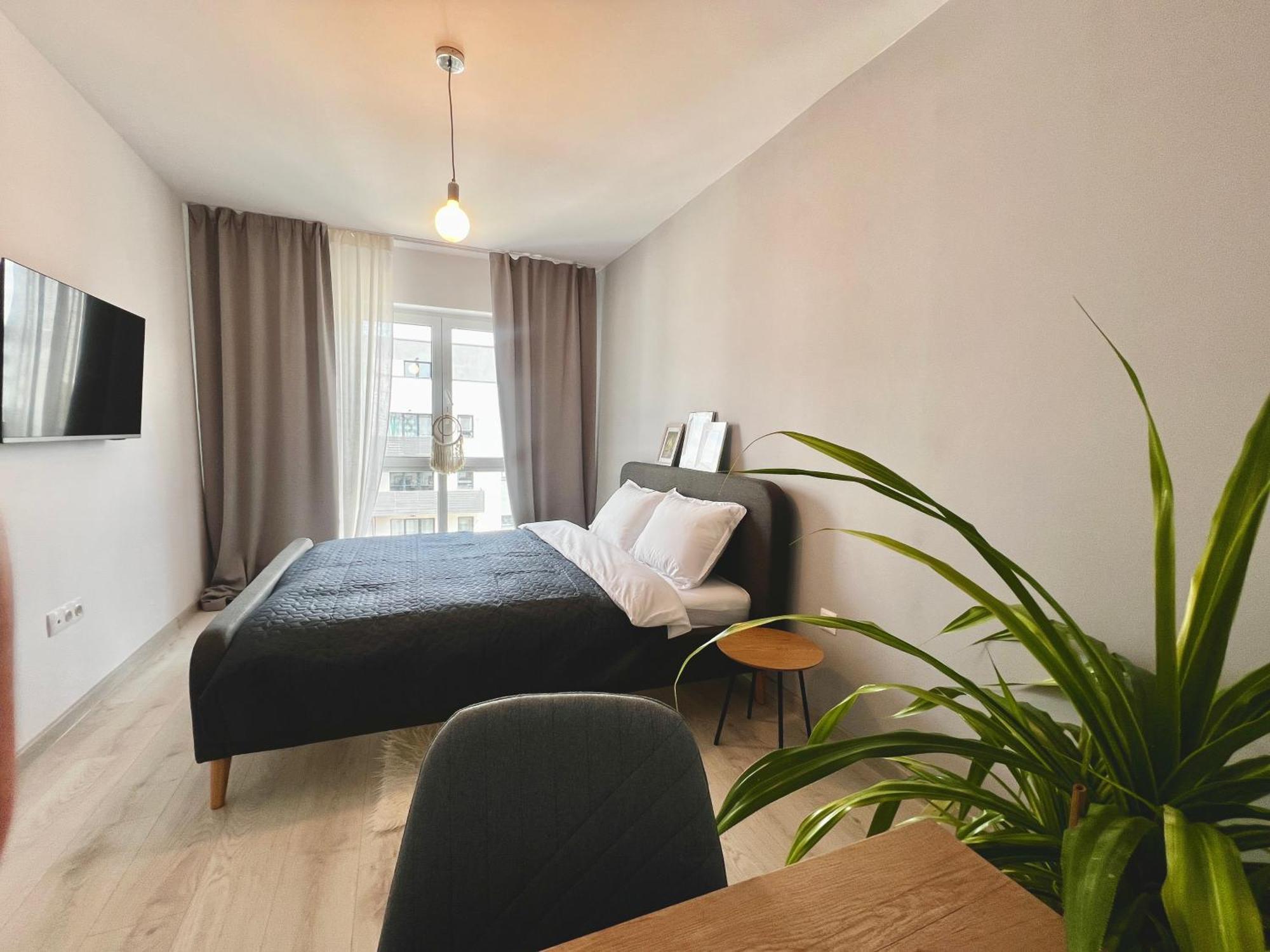 Blue Boho Studios And Apartments Brasov Exterior photo